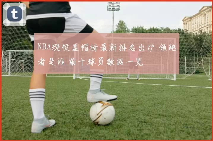 NBA现役盖帽榜最新排名出炉 领跑者是谁 前十球员数据一览