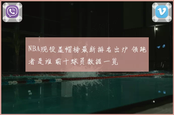 NBA现役盖帽榜最新排名出炉 领跑者是谁 前十球员数据一览