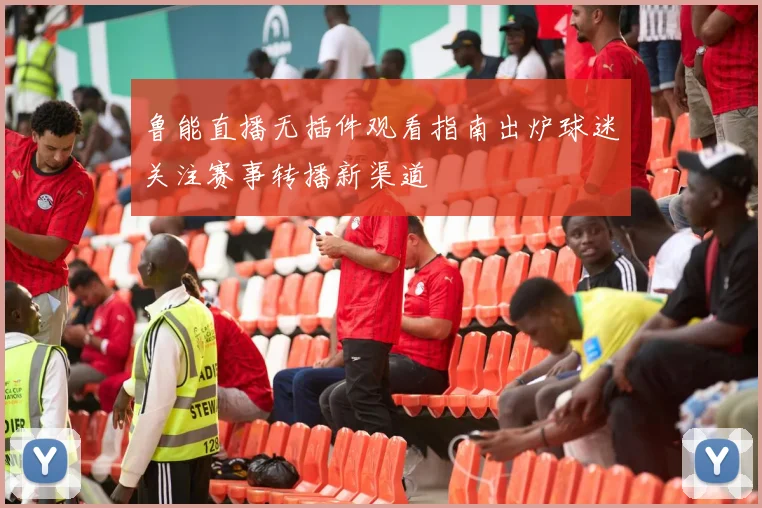 鲁能直播无插件观看指南出炉球迷关注赛事转播新渠道